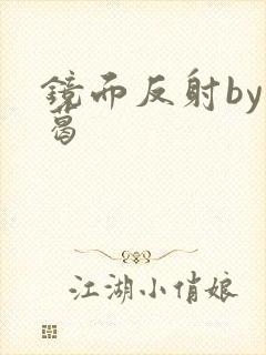 镜面反射by九葛