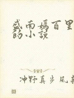 盛南嫣百里阑旭的小说