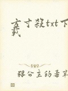 方寸杀txt下载
