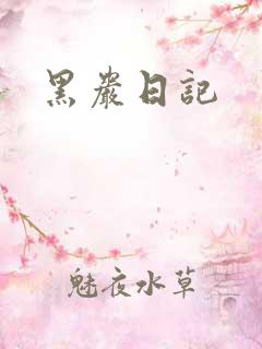 黑岩日记