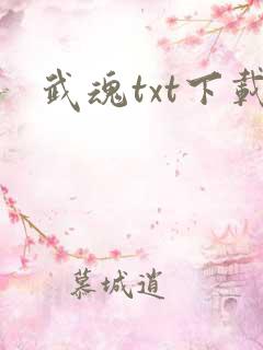 武魂txt下载