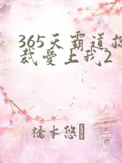 365天霸道总裁爱上我2