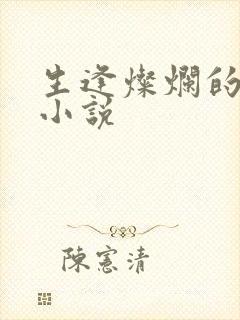 生逢灿烂的日子小说