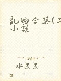 乱肉合集(二)小说