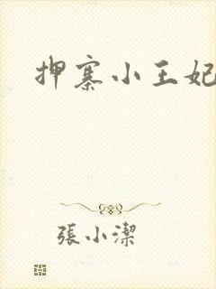 押寨小王妃