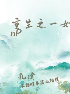 重生之一女九龙nP