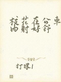 校花在公车上被内射好舒