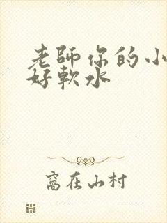老师你的小兔子好软水