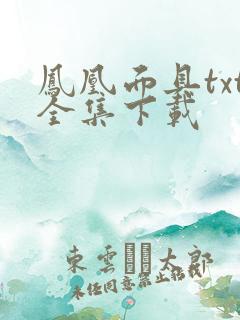 凤凰面具txt全集下载