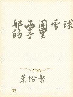 那两团雪球在他的手里