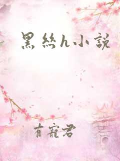 黑丝h小说