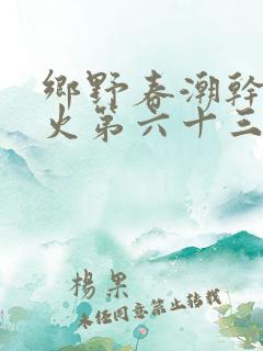 乡野春潮干柴烈火第六十三章