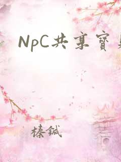 NpC共享宝贝