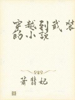 穿越到武装少女的小说