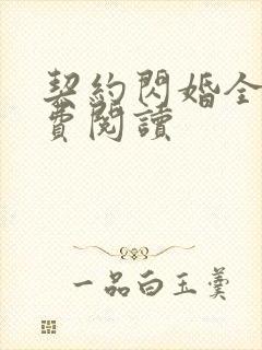 契约闪婚全文免费阅读