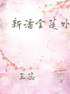 新潘金莲外传