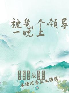 被几个领导玩弄一晚上