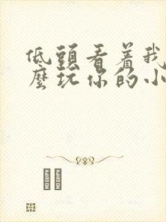 低头看着我是怎么玩你的小说