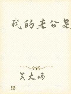 我的老公是军阀