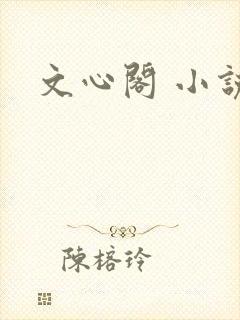 文心阁 小说