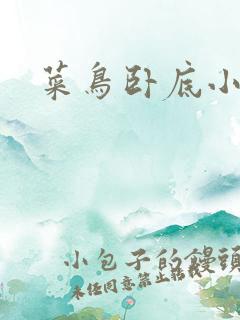 菜鸟卧底小正太