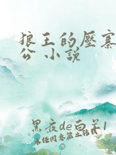 狼王的压寨小相公 小说