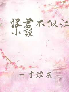 恨君不似江楼月小说