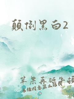 颠倒黑白2
