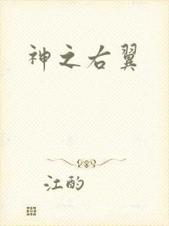 神之右翼