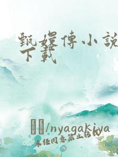 甄嬛传小说全集下载