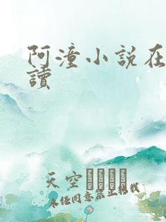 阿潼小说在线阅读