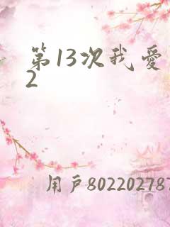 第13次我爱你2