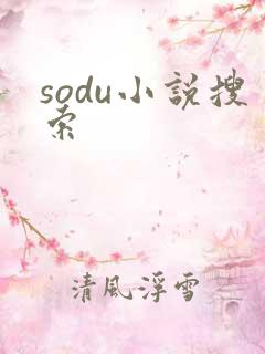sodu小说搜索