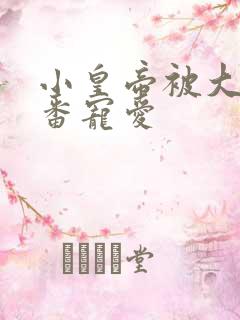 小皇帝被大臣轮番宠爱