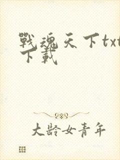 战魂天下txt下载