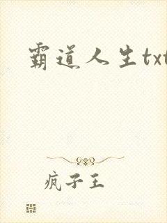 霸道人生txt
