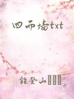 四面墙txt