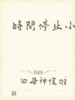 时间停止小说