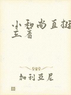 小和尚直挺挺的立着