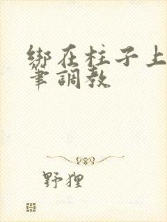 绑在柱子上用毛笔调教