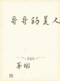 哥哥的美人