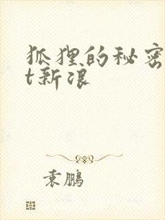 狐狸的秘密txt新浪