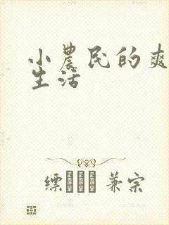 小农民的爽歪歪生活