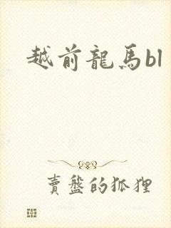 越前龙马bl