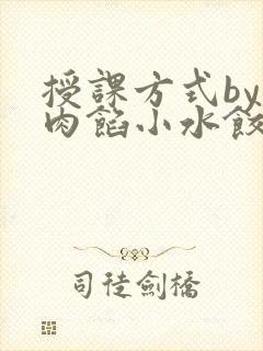 授课方式by 肉馅小水饺