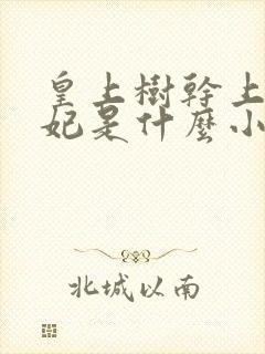 皇上树干上太子妃是什么小说