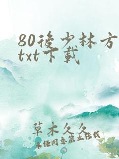 80后少林方丈txt下载