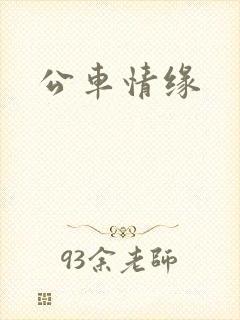 公车情缘