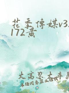 花季传媒v3.172黄