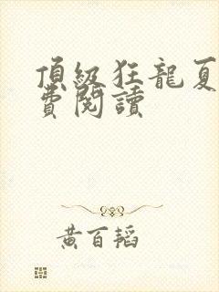 顶级狂龙夏天免费阅读